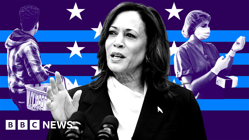 Where Kamala Harris stands on 10 key policy issues, from immigratio...